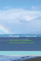 Blue Skies & Rainbows & Sun Beams from Heaven: 2020 Planner 1707953260 Book Cover