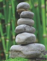 Agenda anual 2020: ? Agenda anual para 2020 ? Resumen de 12 meses ? agenda de 52 semanas  con tareas y metas ? formato A4+ ? motivo: Steinturm (Spanish Edition) 1698516452 Book Cover