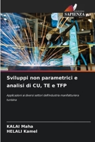 Sviluppi non parametrici e analisi di CU, TE e TFP: Applicazioni ai diversi settori dell'industria manifatturiera tunisina 6204162926 Book Cover