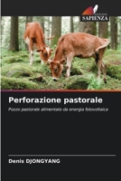 Perforazione pastorale (Italian Edition) 6206605140 Book Cover