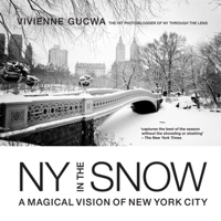 New York in the Snow 1781578761 Book Cover