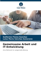 Gemeinsame Arbeit und IT-Entwicklung 6206397084 Book Cover