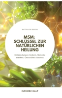 Msm: Schlüssel zur natürlichen Heilung: Entzündungen lindern, Gelenke stärken, Gesundheit fördern (German Edition) 3384259203 Book Cover