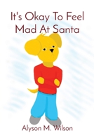 It's Okay To Feel Mad At Santa B0CCLQSH4N Book Cover