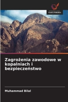 Zagrożenia zawodowe w kopalniach i bezpieczeństwo 6202452161 Book Cover