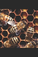 Ruffling the hornets nest Reawakening of a slumbering giant 1790958180 Book Cover