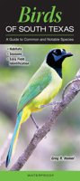 Birds of South Texas Incl. the Lower Rio Grande Valley: A Guide to Common & Notable Species 0982551657 Book Cover