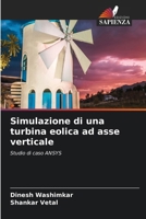 Simulazione di una turbina eolica ad asse verticale (Italian Edition) 6630164172 Book Cover
