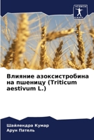 ??????? ?????????????? ?? ??????? (Triticum aestivum L.) (Russian Edition) 6207570553 Book Cover