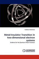Metal-Insulator Transition in two-dimensional electron systems 3838369408 Book Cover