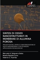 Sintesi Di Ossidi Nanostrutturati in Membrane Di Allumina Porosa 6202715316 Book Cover