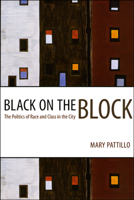 Black on the Block: The Politics of Race and Class in the City 0226649326 Book Cover