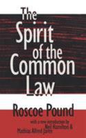 The Spirit of the Common Law B000OIN1TU Book Cover