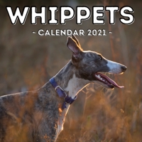 Whippets Calendar 2021: 16-Month Calendar, Cute Gift Idea For Whippet Lovers Women & Men B096M1NLL1 Book Cover