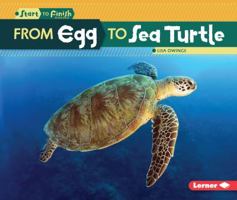 From Egg to Sea Turtle 1512418277 Book Cover