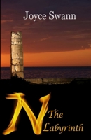 N The Labyrinth B08P3QTK3P Book Cover