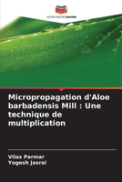 Micropropagation d'Aloe barbadensis Mill: Une technique de multiplication (French Edition) 6208356741 Book Cover