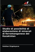 Studio di possibilit� di elaborazione di minerali di ferromanganese del Kazakistan 620351683X Book Cover