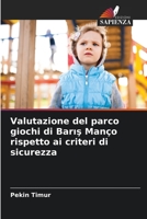 Valutazione del parco giochi di Barış Manço rispetto ai criteri di sicurezza 6206004805 Book Cover