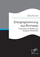 Energiegewinnung Aus Biomasse. Potenziale Und Risiken Von Biogenen Rohstoffen 3959349440 Book Cover