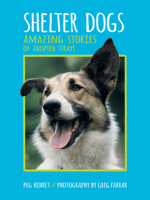 Shelter Dogs: Amazing Stories of Adopted Strays 0807573345 Book Cover