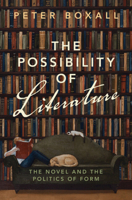 The Possibility of Literature: The Novel and the Politics of Form 1009314297 Book Cover