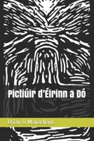 Pictiúir d’Éirinn a Dó B09919S2PZ Book Cover