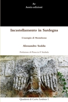 Incastellamento in Sardegna. L'esempio di Monteleone 129142668X Book Cover