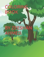 COLORING BOOK BY ZEESHAN AHMED. B0BH1P9JNV Book Cover