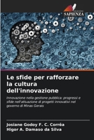 Le sfide per rafforzare la cultura dell'innovazione 6206856496 Book Cover