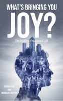WHAT’S BRINGING YOU JOY?: The Modern Frustrated Life 1971561088 Book Cover