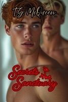 Secrets in the Sanctuary B0GXBTBD4P Book Cover