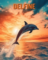 Delfine: Buch mit lustigen Fakten für Kinder mit tollen Fotos B0C9KCHN31 Book Cover