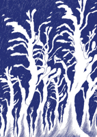 Die Wandlungen 3905929708 Book Cover