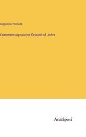 Commentary on the Gospel of John 3382307715 Book Cover