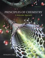 Principles of Chemistry: A Molecular Approach 0321560043 Book Cover