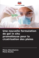 Une nouvelle formulation de gel in situ prometteuse pour la cicatrisation des plaies 6205656477 Book Cover