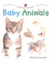 Say and Point Picture Boards: Baby Animals (Say and Point Picture Board Books) 0754813347 Book Cover