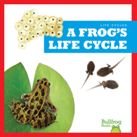 A Frog's Life Cycle 1636908349 Book Cover