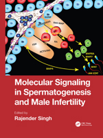 Molecular Signaling in Spermatogenesis and Male Infertility 1032085738 Book Cover