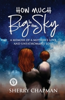 How Much Big Is the Sky: A Memoir of a Mother's Love and Unfathomable Loss 195130702X Book Cover