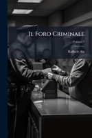 Il Foro Criminale, Volume 7 1248765915 Book Cover