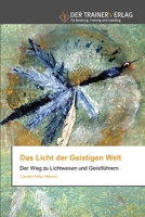 Das Licht der Geistigen Welt (German Edition) 384175967X Book Cover