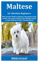 Maltese for Absolute Beginners: The Concise Guide on Buying, Grooming, Food, Health, Care and Training your Maltese Puppy or Dog (Maltese Puppy Training Book) B08JV9JWL1 Book Cover