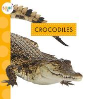 Crocodiles 1681524236 Book Cover