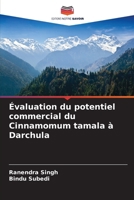 Évaluation du potentiel commercial du Cinnamomum tamala à Darchula (French Edition) 6209367046 Book Cover