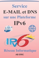 Service E-MAIL et DNS sur une Plateforme IPv6: Généralité sur le protocole IPv6, Serveur de nom DNS, Service de messagerie E-mail, Principe de virtualisation, Postfix B08HGPPK1J Book Cover