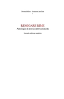 Remigare rime: Antologia di poesia intersezionista (Doremidolare. Strumenti per fare) B0923ZXVKR Book Cover