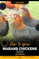 Marans Chickens: Modern Home Farmer's Handbook, Guide for beginners B0CKV565V2 Book Cover