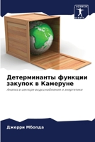 Детерминанты функции закупок в Камеруне: Анализ в секторе водоснабжения и энергетики 6205918137 Book Cover